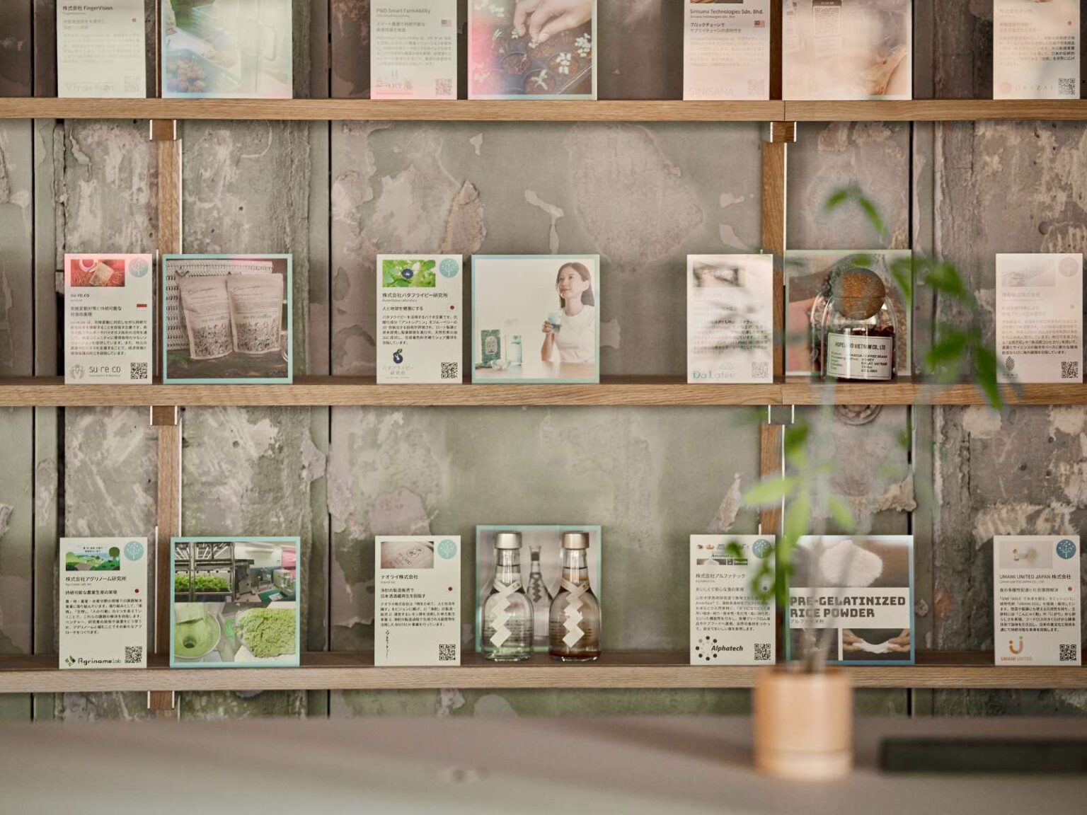 Sustainable Food Museum6