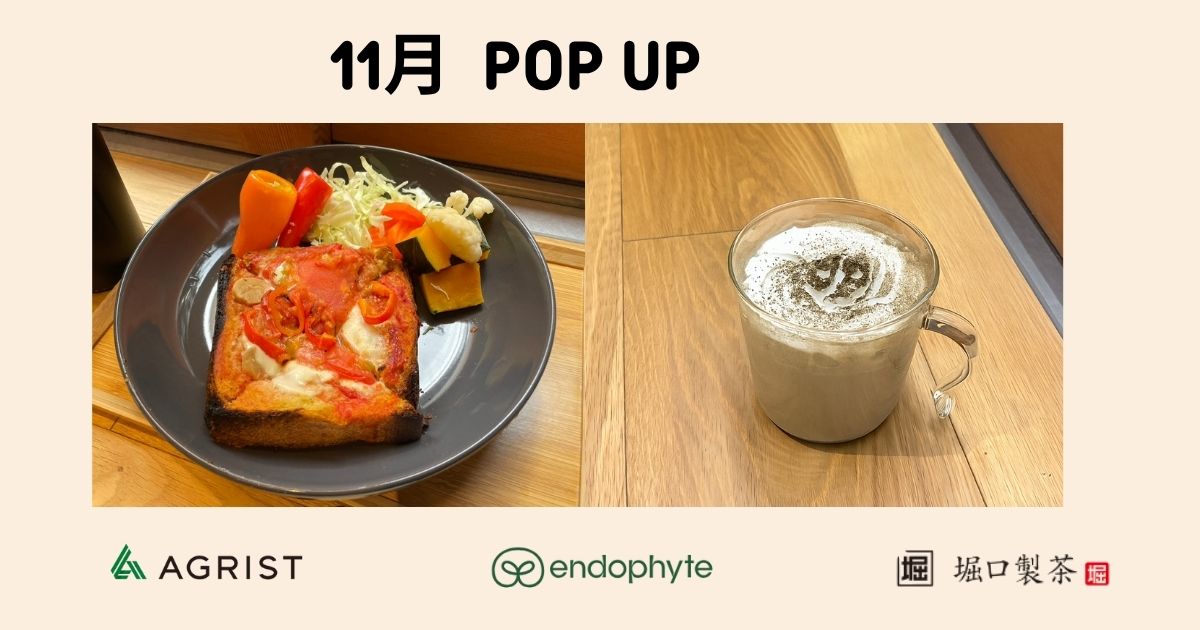 【SFIP】11月・POP UPメニューのご紹介