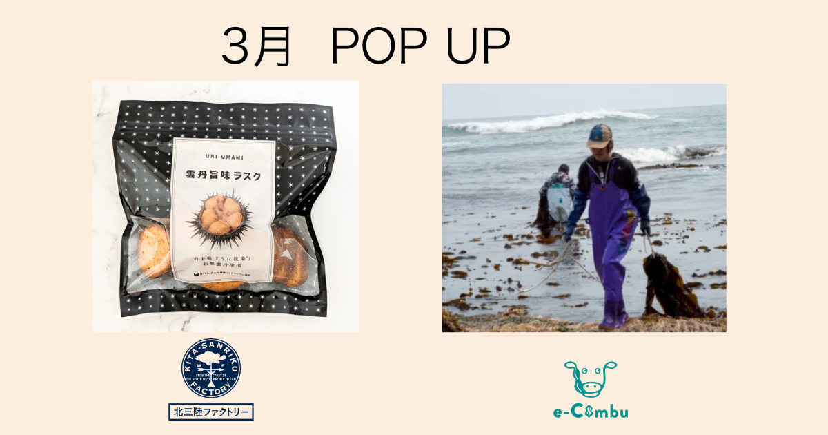 【SFIP】３月・POP UPメニューのご紹介